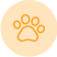 pets-accessories